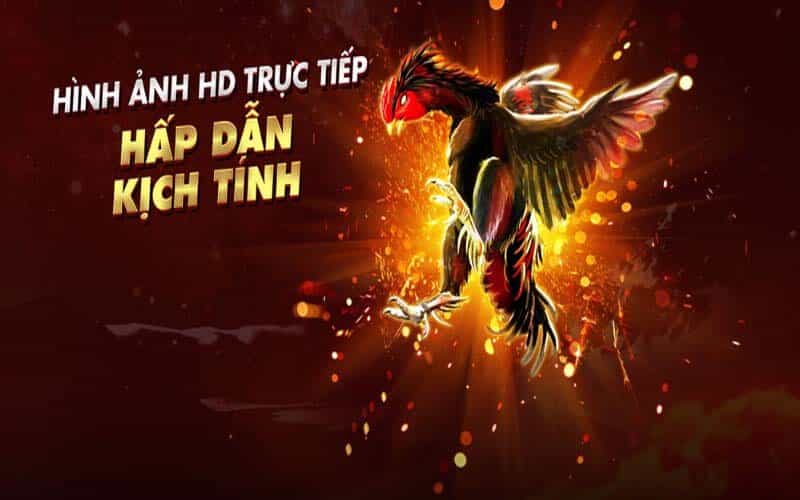 Đá gà trực tuyến 999 an toàn tuyệt đối