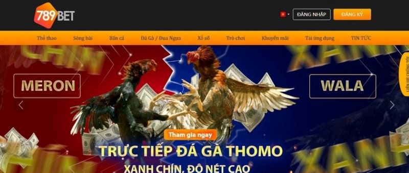 Xem trực tiếp đá gà hôm nay tại 789b