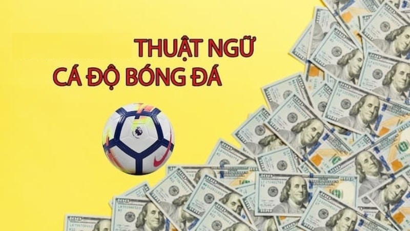 Thuật ngữ kèo bóng trong cá độ trực tuyến