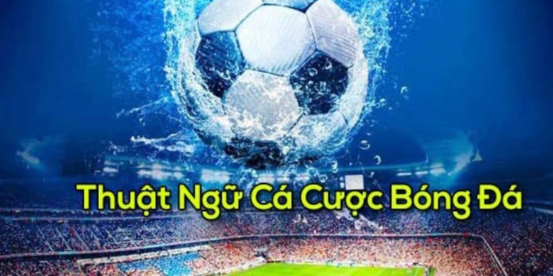 Thuật ngữ kèo bóng châu Á