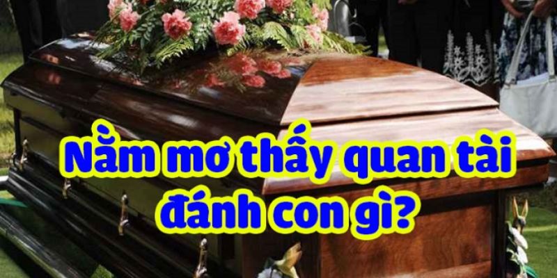 Nằm mơ thấy quan tài là điềm báo gì? Hôm sau đánh con gì?