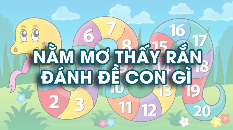 Nằm mơ thấy rắn - Ý nghĩa và những con số may mắn đi kèm