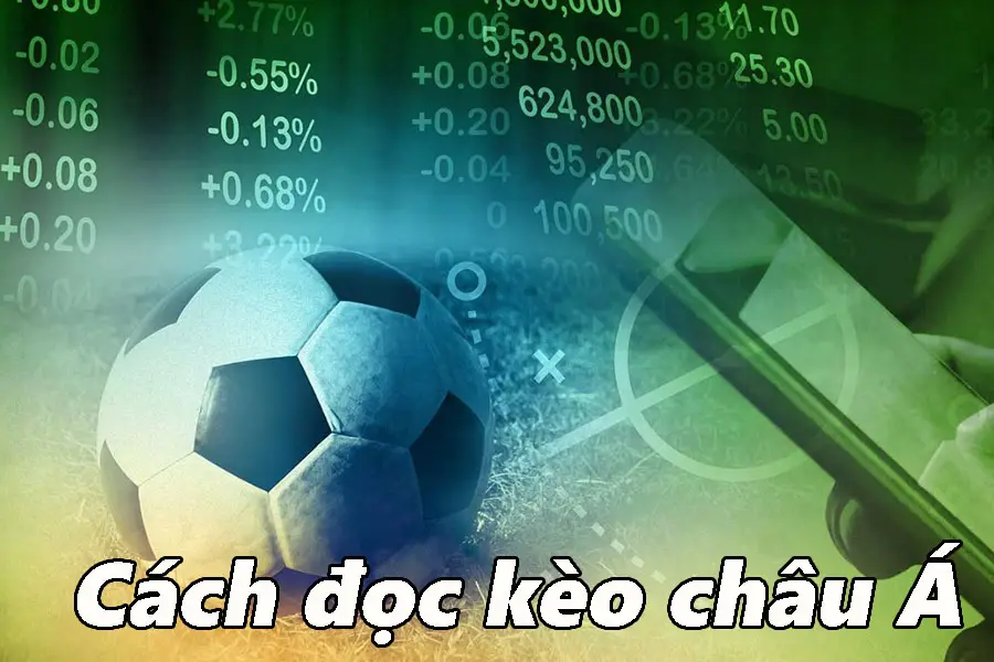 Hướng dẫn cách đọc tỉ lệ châu Á