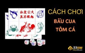 Bật Mí Cách Chơi Bầu Cua Tôm Cá Không Phải Ai Cũng Biết