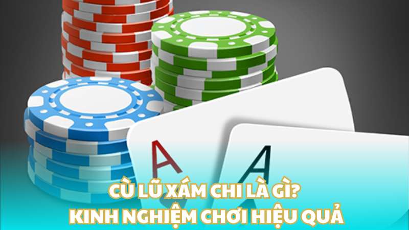 Cù lũ xám chi là gì? Kinh nghiệm chơi hiệu quả