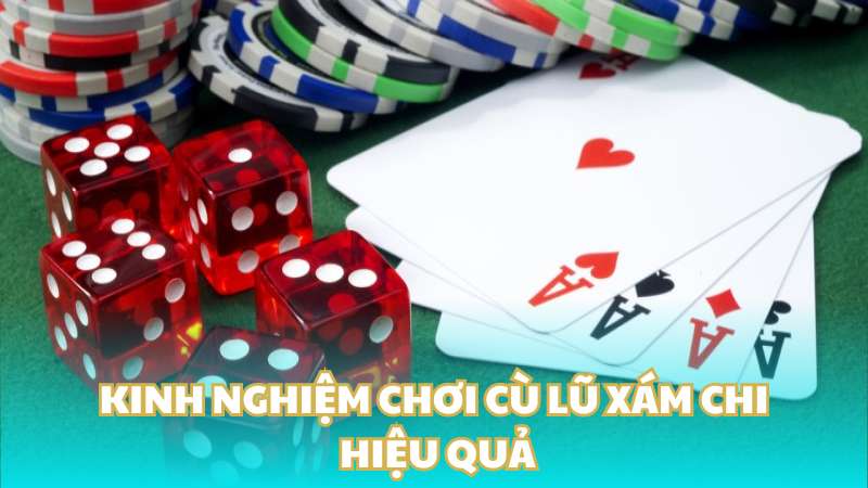 Kinh nghiệm chơi cù lũ xám chi hiệu quả