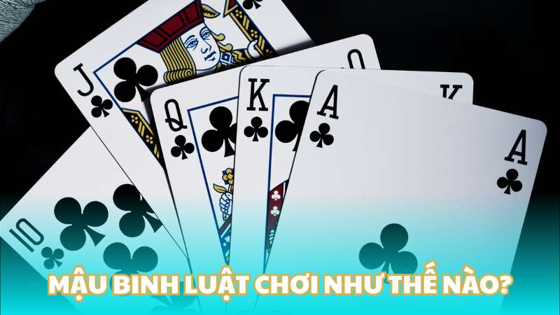 Mậu binh luật chơi như thế nào?