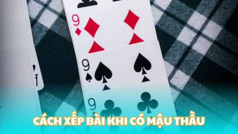 Cách xếp bài khi có mậu thầu